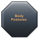 Body Postures: