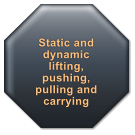 Static and dynamic lifting, pushing, pulling and carrying